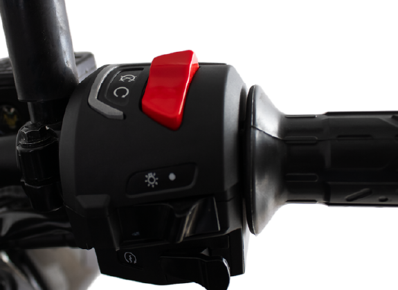 Bajaj N 250 - Thumbnail 6