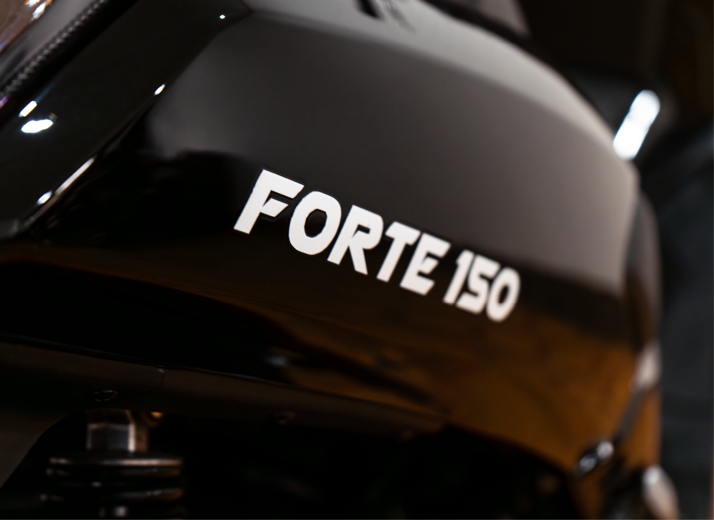 DUCONDA FORTE 150 - Imagen 1