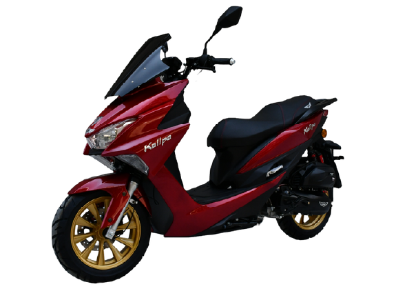 JCH KALLPA - Thumbnail 2