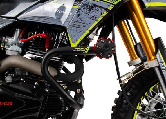 NEXUS 250 XL - Imagen 1