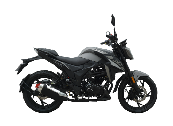 Moto Ronco MAGNETO 200X