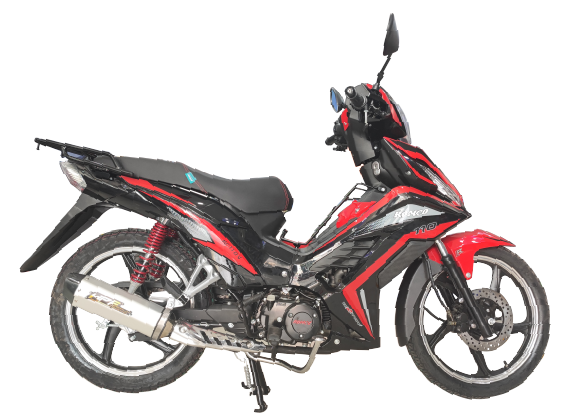 Moto Ronco RC110V