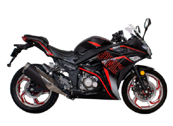Moto Ronco RZ 200