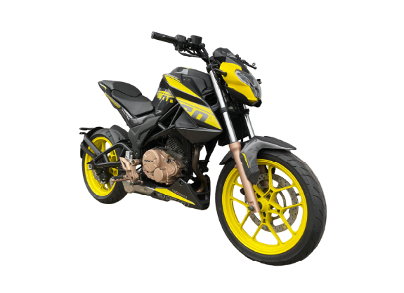 Moto Ronco VOLTRA 250