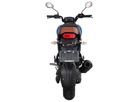 YAMAHA FZ-X - Thumbnail 6